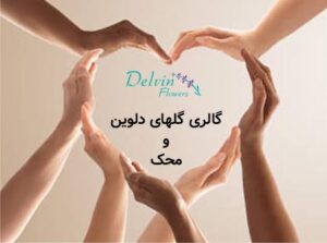 همکاری دلوین با موسسه خیریه محک