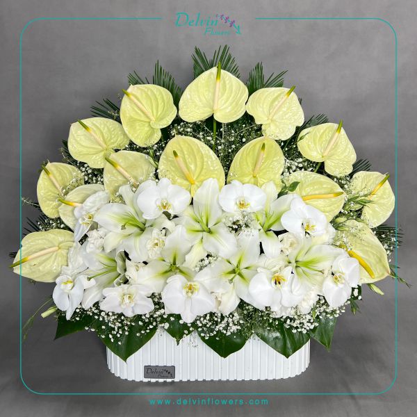 box poya باکس گل پویا